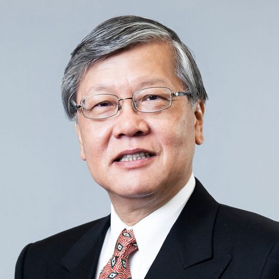 A Short History of the ASEAN Digital Future
